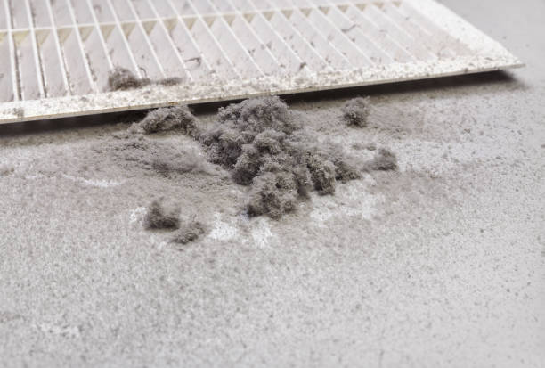 Best HVAC System Cleaning  in Jonestown, PA